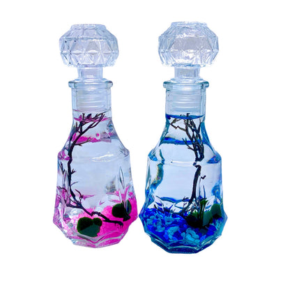 Romantic Marimo Moss Balls Glass Bottle Aquarium With Lid Love Plants for Beginners for Couples