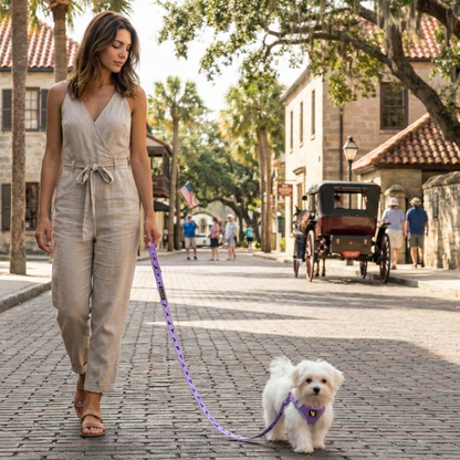 EcoBark Step In Dog Harness - XXXS to Medium Breeds- Reflective Soft Mesh Harness for Teacup, Small Dogs and Puppies / Lavender