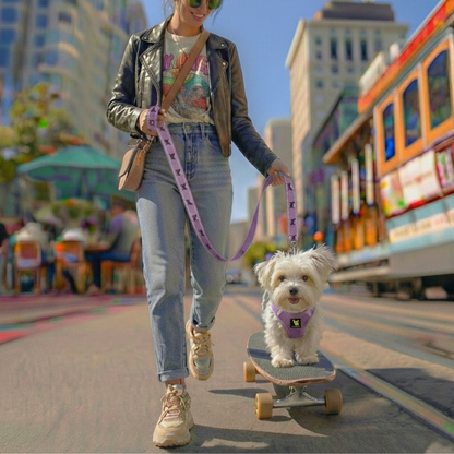 EcoBark Step In Dog Harness - XXXS to Medium Breeds- Reflective Soft Mesh Harness for Teacup, Small Dogs and Puppies / Lavender