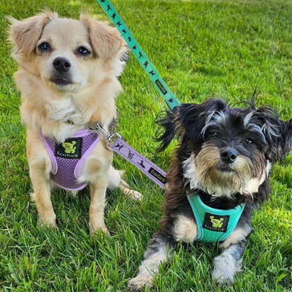 EcoBark Step In Dog Harness - XXXS to Medium Breeds- Reflective Soft Mesh Harness for Teacup, Small Dogs and Puppies / Lavender