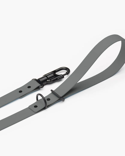 Signature Leash