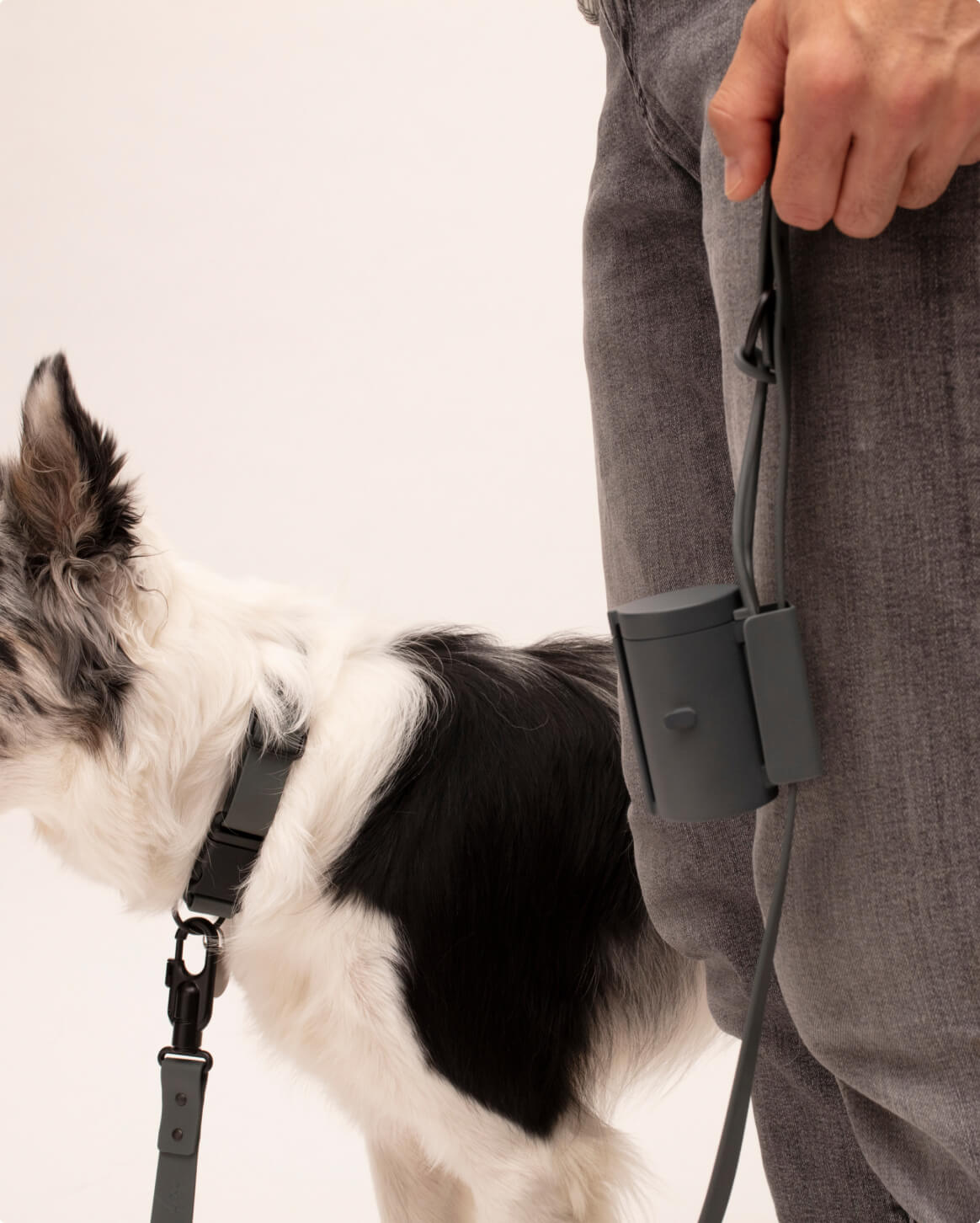 Signature Leash