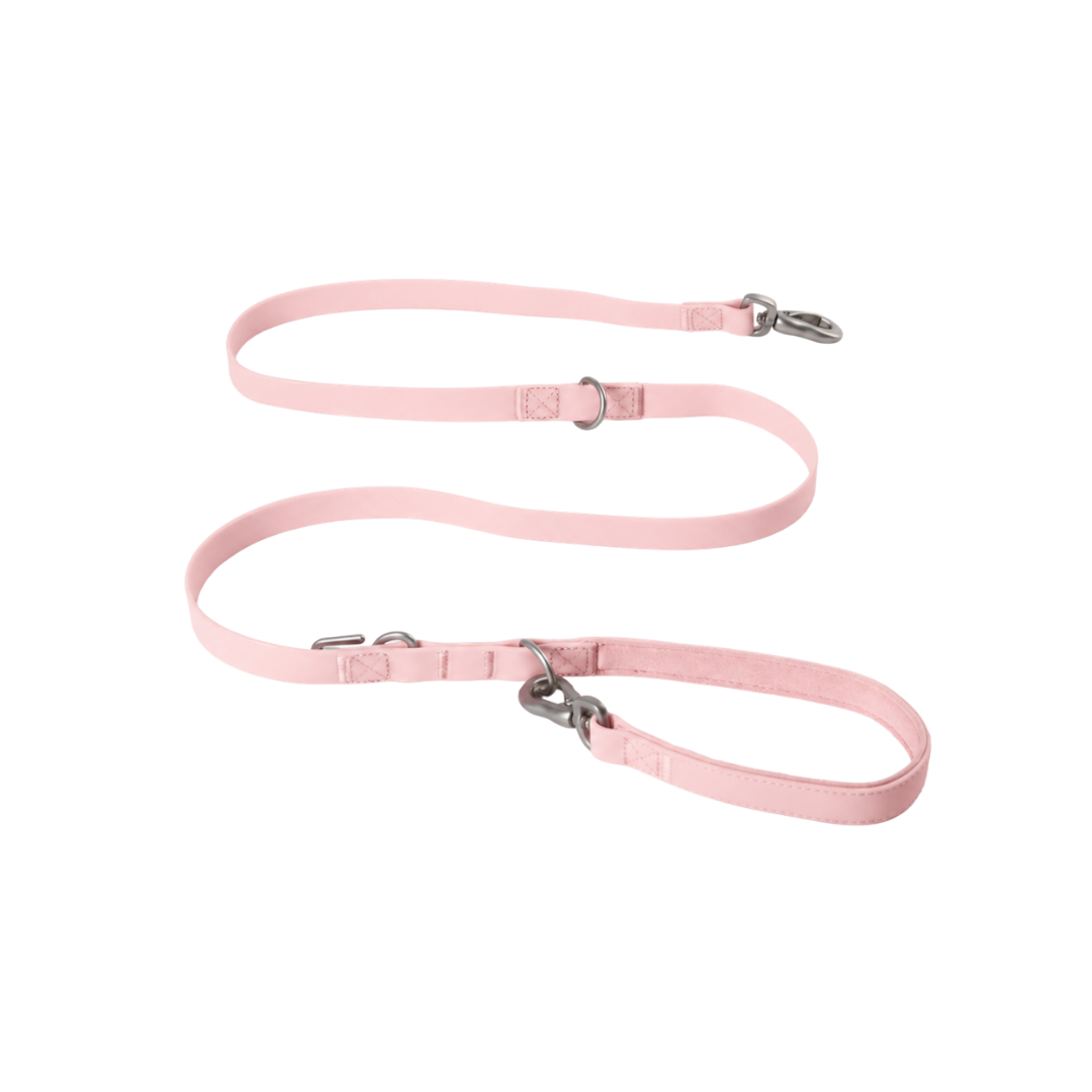 Waterproof Dog Leash - 5ft