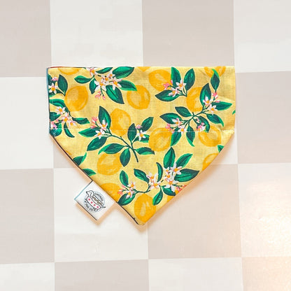 Citrus Fruit Reversible Lemon & Orange Bandana