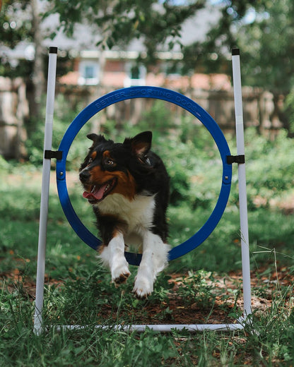 Better Sporting Dogs Upgraded Dog Agility Set – 5 Piece Training Kit with Safety Breakaway Tire Jump, Displacement Bar Jump, Tunnel, Weave Poles & Pause Box