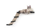 The Lift- Cat Hammock Bed