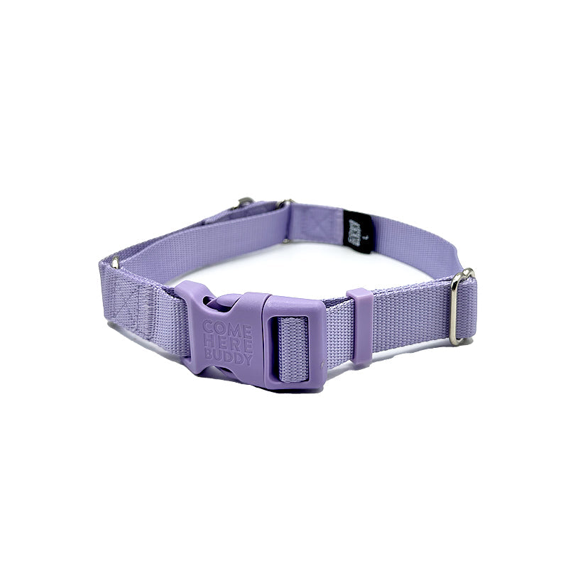 Martingale Dog Collar