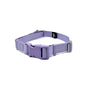 Martingale Dog Collar