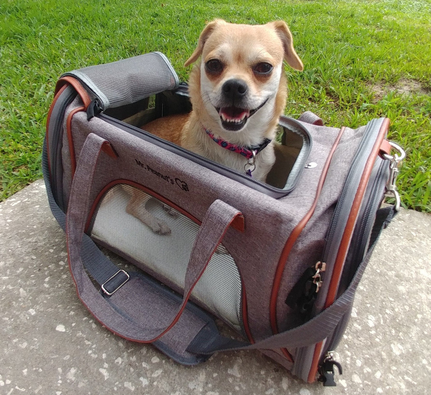 Mr. Peanut's Gold Series Standard Size Airline Compliant Pet Carrier