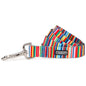 *Hippie Dog Collar and Leash*