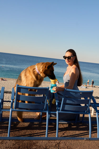 20oz Flip Dog Travel Water Bottle