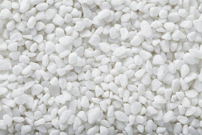 Exotic Pebbles White Pebbles for Aquarium and Moss Ball Glass Terrarium 1 Cup