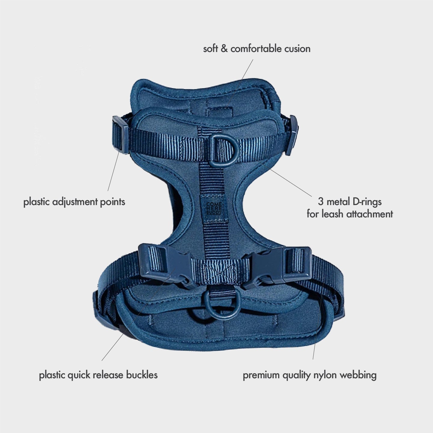 Harness