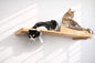 The Cat Nest Bed