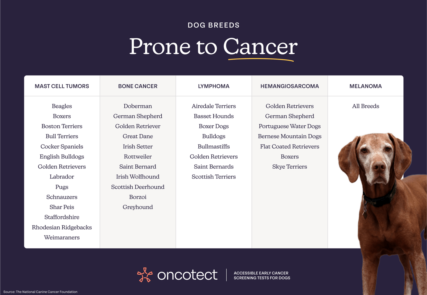 Oncotect Essential At-Home Dog Cancer Screening Test Kit