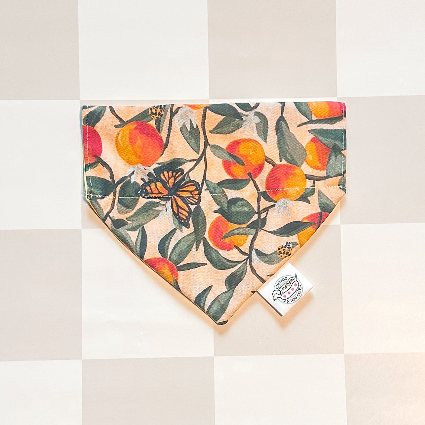 Citrus Fruit Reversible Lemon & Orange Bandana