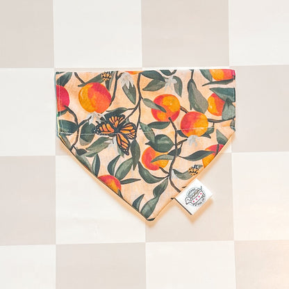 Citrus Fruit Reversible Lemon & Orange Bandana
