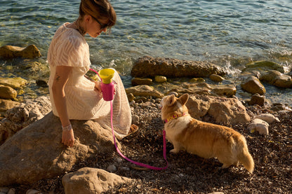 Waterproof Dog Leash - 5ft