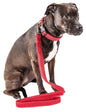 Pet Life ® 'Aero Mesh' 2-In-1 Breathable and Adjustable Dual-Sided Mesh Dog Leash and Collar