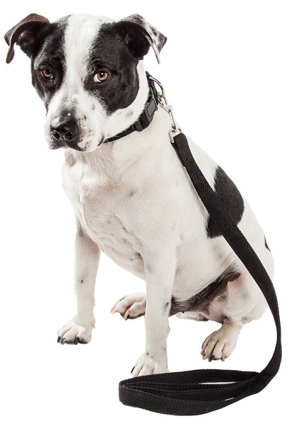 Pet Life ® 'Aero Mesh' 2-In-1 Breathable and Adjustable Dual-Sided Mesh Dog Leash and Collar