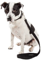 Pet Life ® 'Aero Mesh' 2-In-1 Breathable and Adjustable Dual-Sided Mesh Dog Leash and Collar