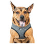 Pet Life ® 'Checkerwag' Checkered Mesh Reversed and Adjustable Fashion Dog Harness