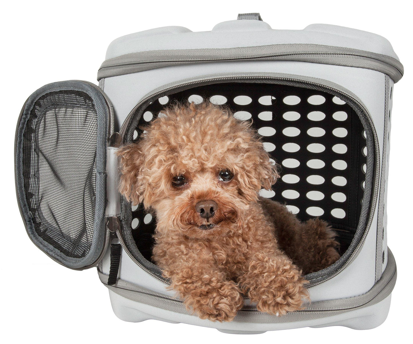 Pet Life ® 'Circular Shelled' Perforated Lightweight Collapsible Military Grade Travel Pet Dog Carrier