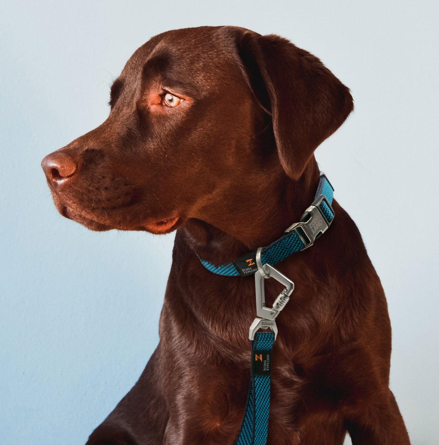 Pet Life ® 'Escapade' Outdoor Series 2-in-1 Convertible Dog Leash and Collar