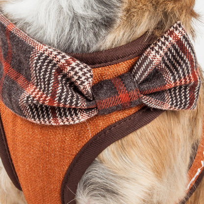 Pet Life ® Luxe 'Pawsh' 2-In-1 Adjustable Fashion Dog Harness and Leash