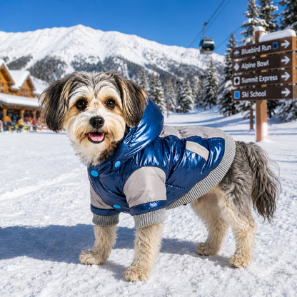 Pet Life ® 'Vintage Aspen' 3M Insulated Sporty Ski Dog Jacket w/ Removable Hood