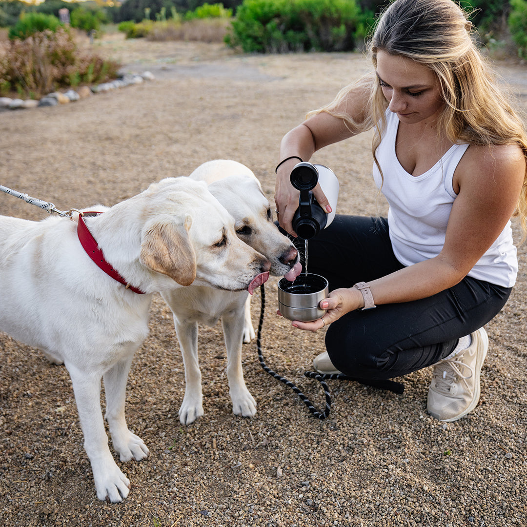 **SALE** HydroPet® 32 oz Portable Dog Water Bottle – Stainless Steel Travel Flask with 2 Detachable Bowls, Carry Bag & Strap