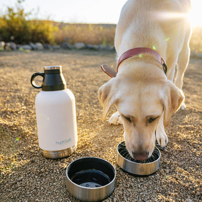 HydroPet® 64 oz Portable Dog Water Bottle – Stainless Steel Travel Flask with 2 Detachable Bowls, Carry Bag & Strap