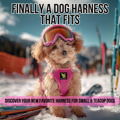 EcoBark Step In Dog Harness - XXXS to Medium Breeds- Reflective Soft Mesh Harness for Teacup, Small Dogs and Puppies / Hot Pink