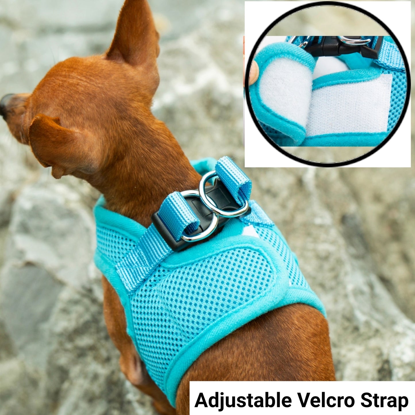 Mr. Peanut's PupTrek Soft Mesh Pet Harness with Matching Leash – Adjustable, Breathable, Choke-Free