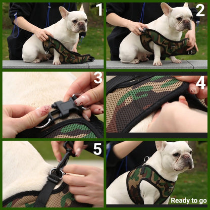 Mr. Peanut's PupTrek Soft Mesh Pet Harness with Matching Leash – Adjustable, Breathable, Choke-Free