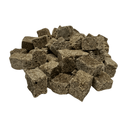 Premium Freeze Dried Blackworms - Power Boost
