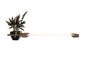 Cat Hammock Wall with Planter