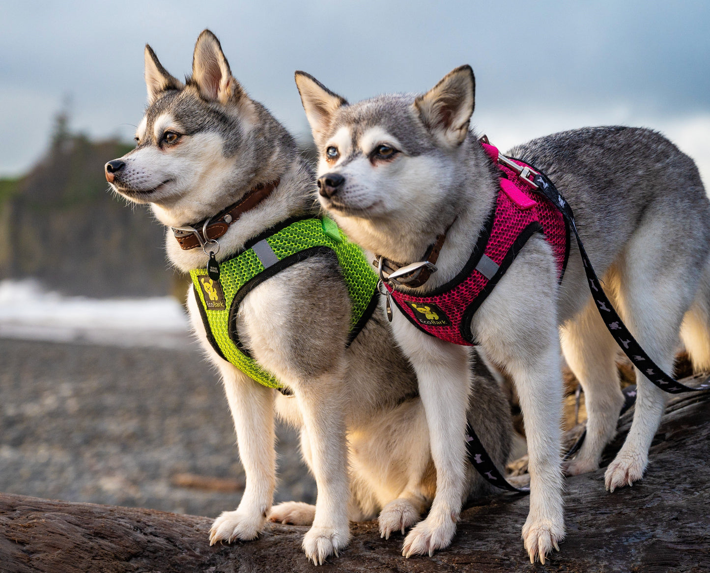 EcoBark Step In Dog Harness - XXXS to Medium Breeds- Reflective Soft Mesh Harness for Teacup, Small Dogs and Puppies / Neon Green Sport