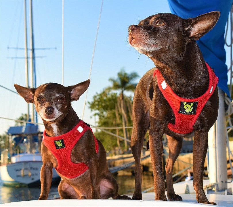 EcoBark Step In Dog Harness - XXXS to Medium Breeds- Reflective Soft Mesh Harness for Teacup, Small Dogs and Puppies / Red
