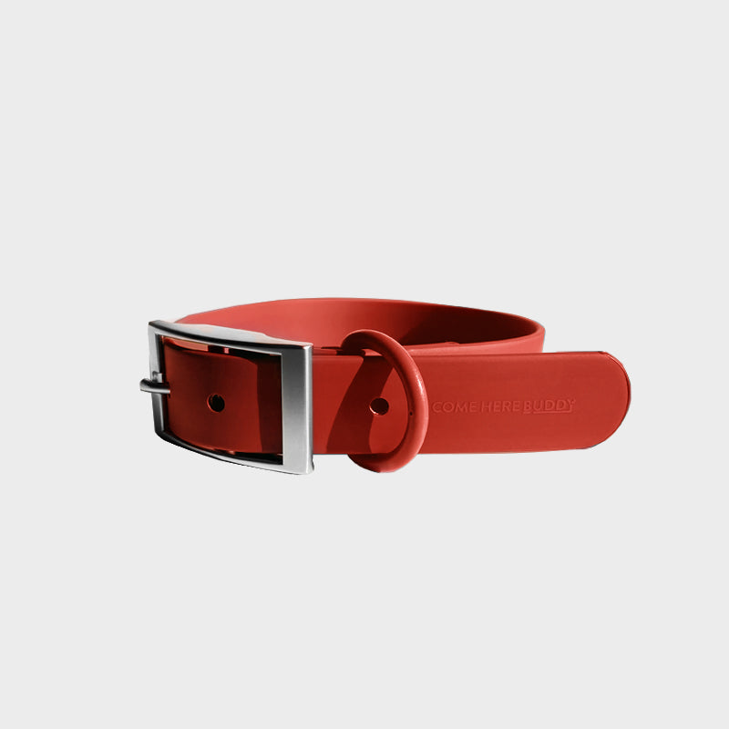 Everyday Collar