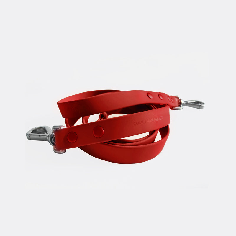 Leash