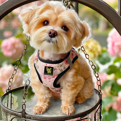 EcoBark Step In Dog Harness - XXXS to Medium Breeds- Reflective Soft Mesh Harness for Teacup, Small Dogs and Puppies / French Floral