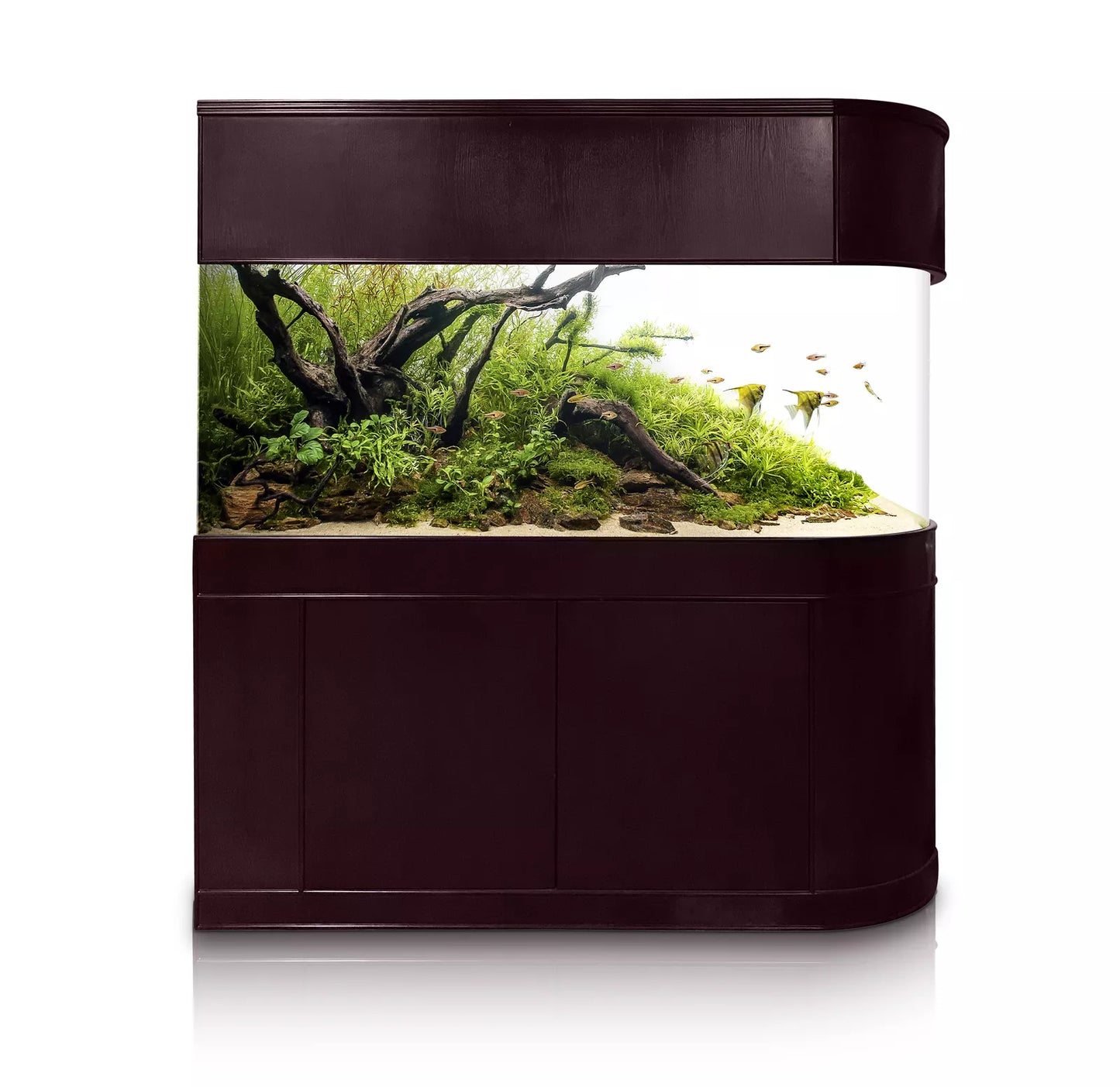 120 Gallon U-Shape Bullnose Peninsula Divider Glass Aquarium Reef-Ready in Premium Cherry Real Wood Furniture