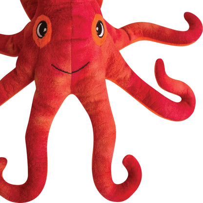 Olivia the Octopus