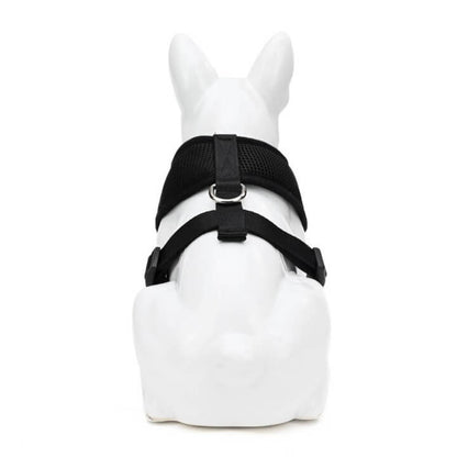 EcoBark Black Dog Harness - Over-the-Head Dog Vest Halter Dog for Small to Medium Dogs and Puppies