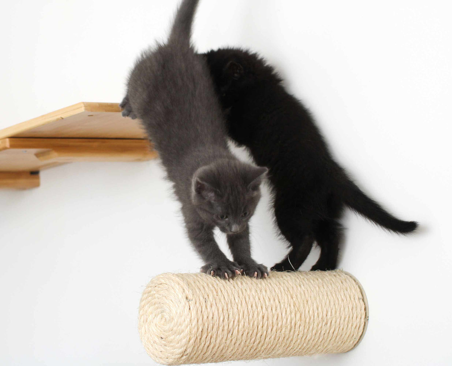 Floating Cat Step for Wall