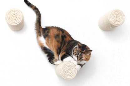 Floating Cat Step for Wall