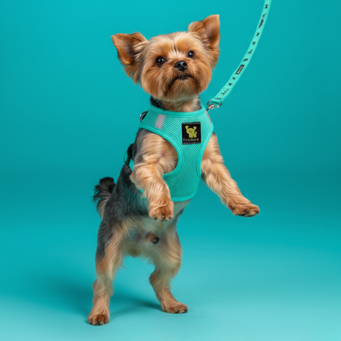 EcoBark Step In Dog Harness - XXXS to Medium Breeds- Reflective Soft Mesh Harness for Teacup, Small Dogs and Puppies / Mint Turquoise
