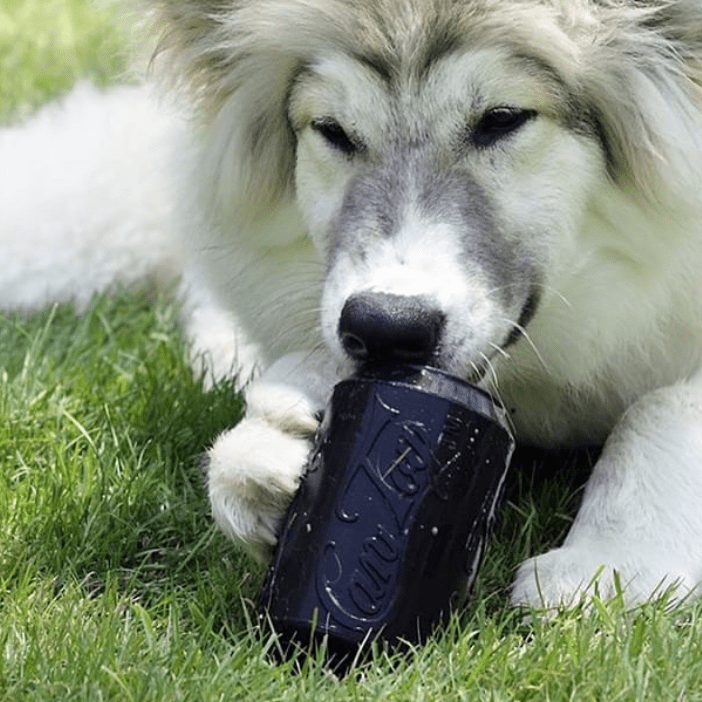 Bottle Top Flyer Rubber Frisbee for Dogs | Orange | Vet Approved | USA Made
