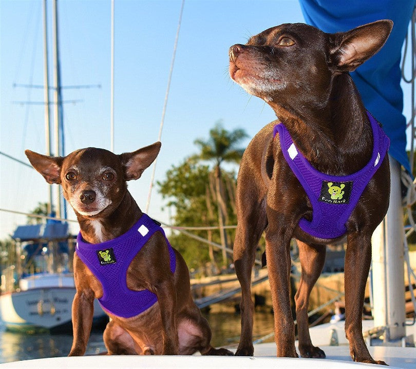 EcoBark Step In Dog Harness - XXXS to Medium Breeds- Reflective Soft Mesh Harness for Teacup, Small Dogs and Puppies / Purple